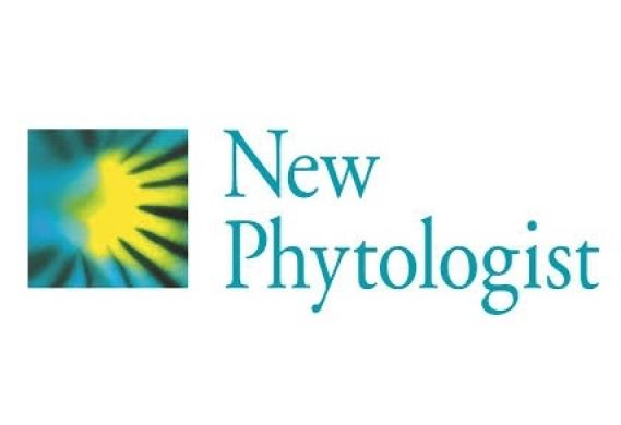 New phytologist icon