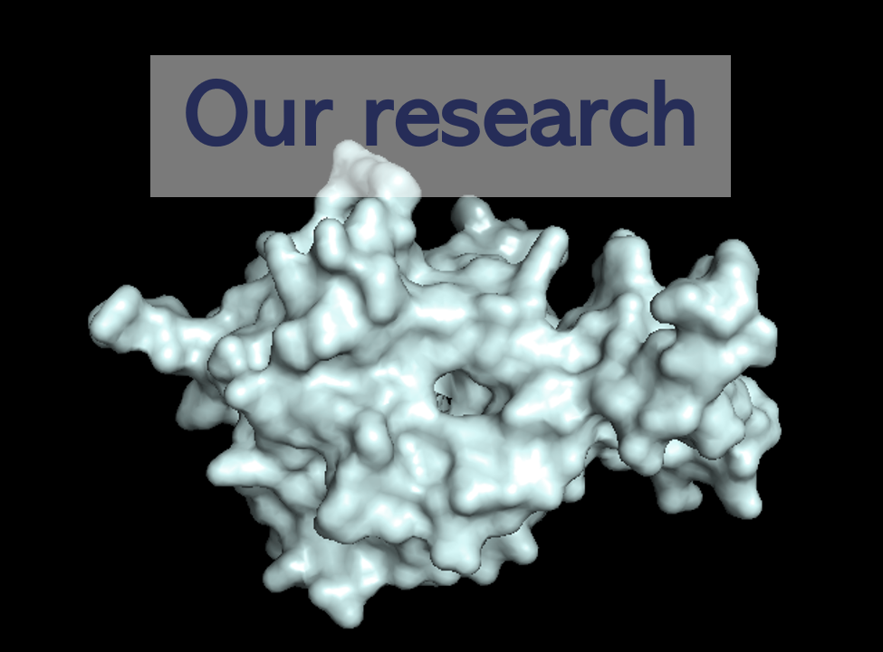 Our research image