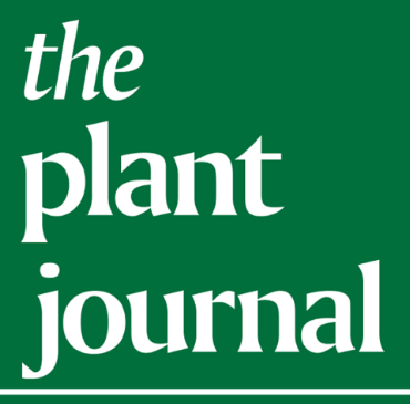 Plant journal icon
