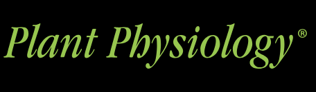 Plant physiology icon